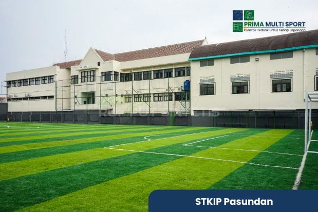 jasa pembuatan mini soccer bandung stkip